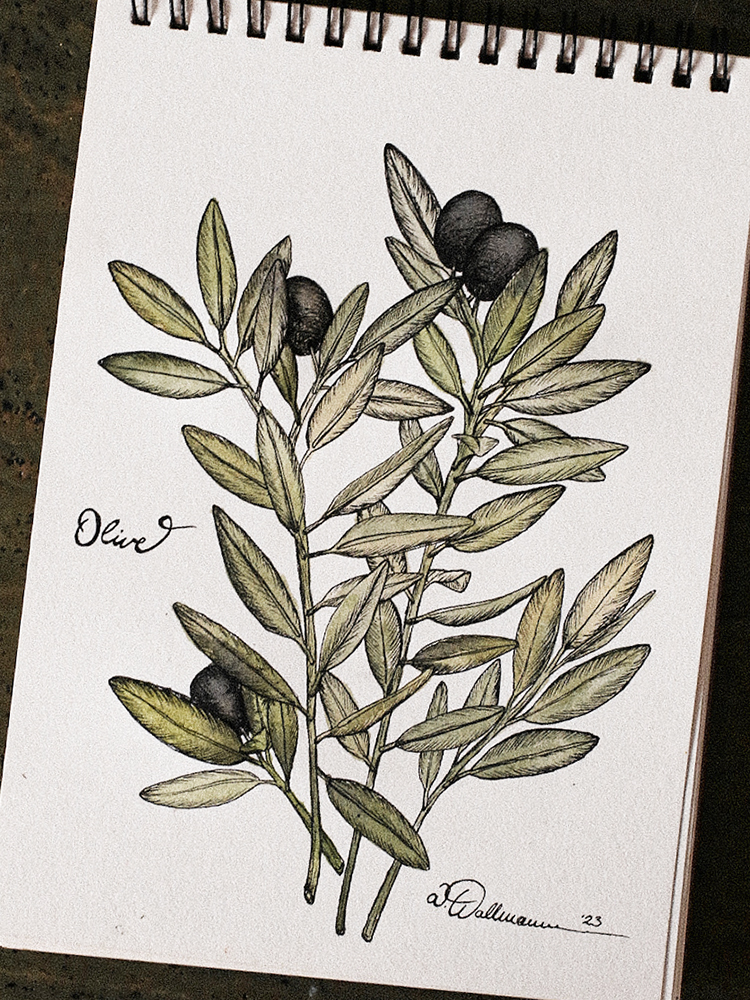 20230524163637_IMG_3626